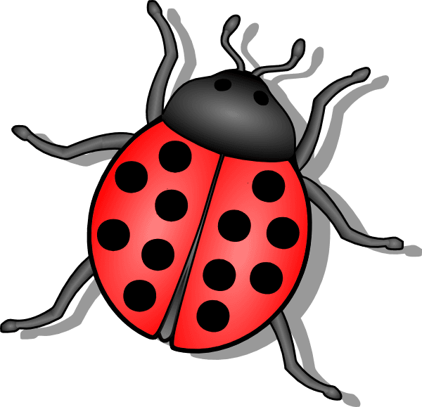 Ladybug Cartoon Clip Art - Ladybug Tattoo Design - Free Transparent PNG Clipart Images Download. - Transparent PNG Free Download | PNGio