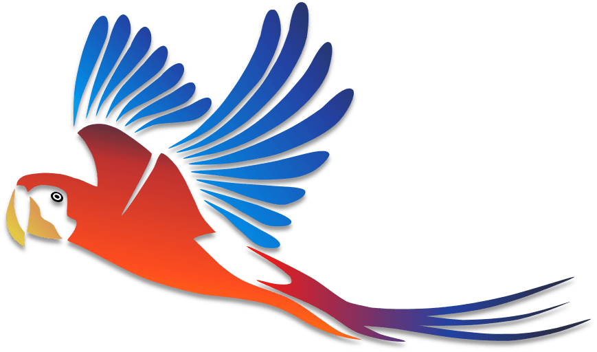 Parrots Illustrations - Parrot Tattoo Designs - Free Transparent PNG Clipart Images Download. - Transparent PNG Free Download | PNGio