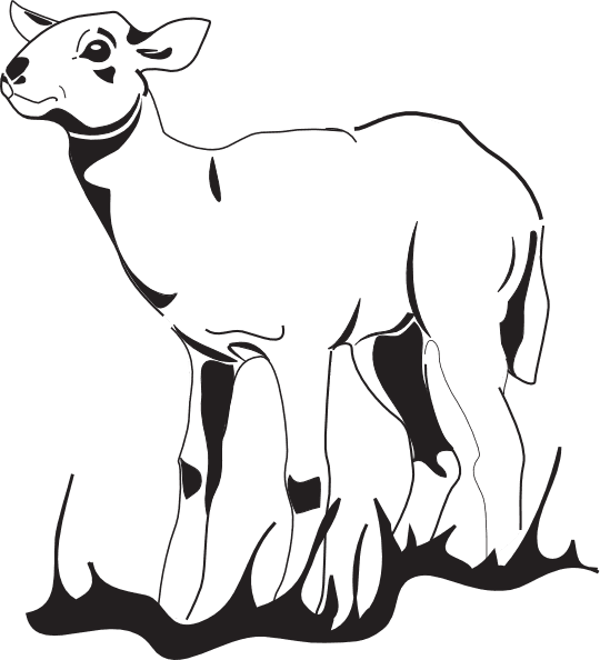 Lamb Tattoo Drawing Outline - Free Transparent PNG Clipart Images Download. - Transparent PNG Free Download | PNGio
