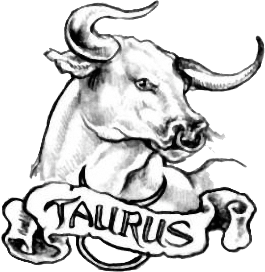 Taurus Simple Bull Tattoo Design For Men - Taurus Tattoo - Free Transparent PNG Clipart Images Download. - Transparent PNG Free Download | PNGio