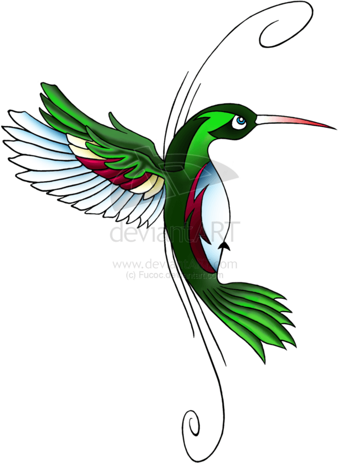 Hummingbird Tattoo Stock Images, Royalty-free Images - Hummingbird Tattoo Designs - Free Transparent PNG Clipart Images Download. - Transparent PNG Free Download | PNGio