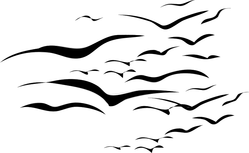 Free Architetto Stormo Di Ucelli - Flock Of Birds Tattoo - Free Transparent PNG Clipart Images Download. - Transparent PNG Free Download | PNGio