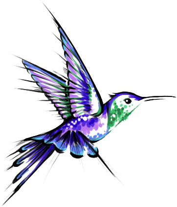 Hummingbird Tattoos Png Transparent Images - Hummingbird Tattoo - Free Transparent PNG Clipart Images Download. - Transparent PNG Free Download | PNGio
