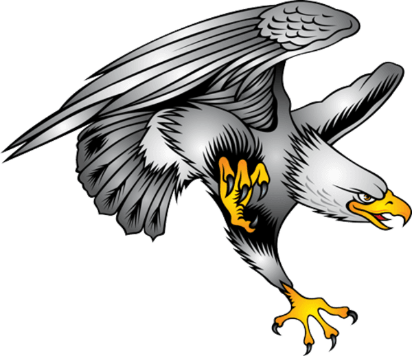 28 Collection Of Eagles Clipart Free Download - Bald Eagle Tattoo Design - Free Transparent PNG Clipart Images Download. - Transparent PNG Free Download | PNGio