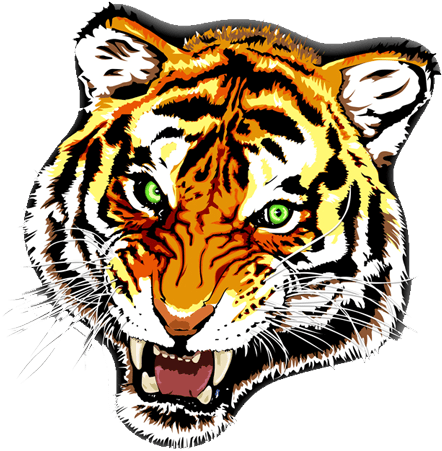 Tiger - Tiger Tattoo Transparent Png - Free Transparent PNG Clipart Images Download. - Transparent PNG Free Download | PNGio