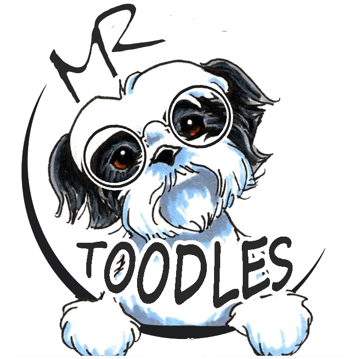 Mr Toodles - Shih Tzu Tattoo Designs - Free Transparent PNG Clipart Images Download. - Transparent PNG Free Download | PNGio