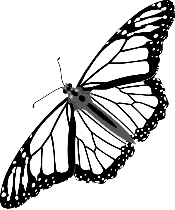 Cartoon Monarch Butterfly 25, Buy Clip Art - Monarch Butterfly Tattoo Vector - Free Transparent PNG Clipart Images Download. - Transparent PNG Free Download | PNGio