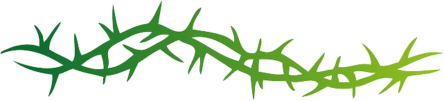 Flower Border Png - Arm Band Tribal Tattoo - Free Transparent PNG Clipart Images Download. - Transparent PNG Free Download | PNGio