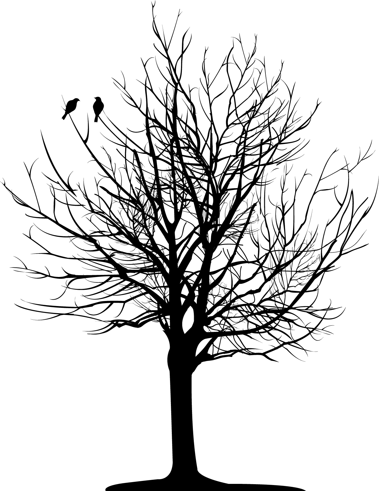 Christopher Allan Poe - Tree With Roots Ankle Tattoos - Free Transparent PNG Clipart Images Download. - Transparent PNG Free Download | PNGio