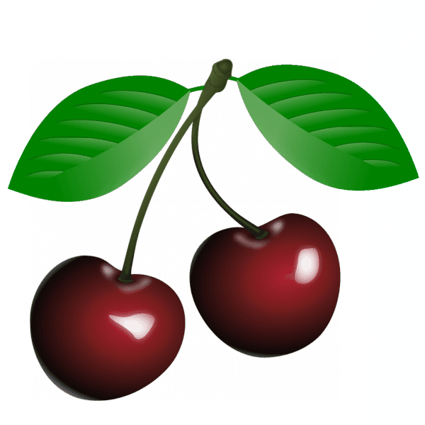 Love Birds - Cerise Tattoo - Free Transparent PNG Clipart Images Download. - Transparent PNG Free Download | PNGio