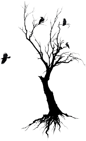 The - Leafless Tree Tattoo Meaning - Free Transparent PNG Clipart Images Download. - Transparent PNG Free Download | PNGio
