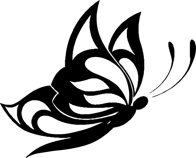 Butterfly - Desenho Borboleta Para Tattoo - Free Transparent PNG Clipart Images Download. - Transparent PNG Free Download | PNGio