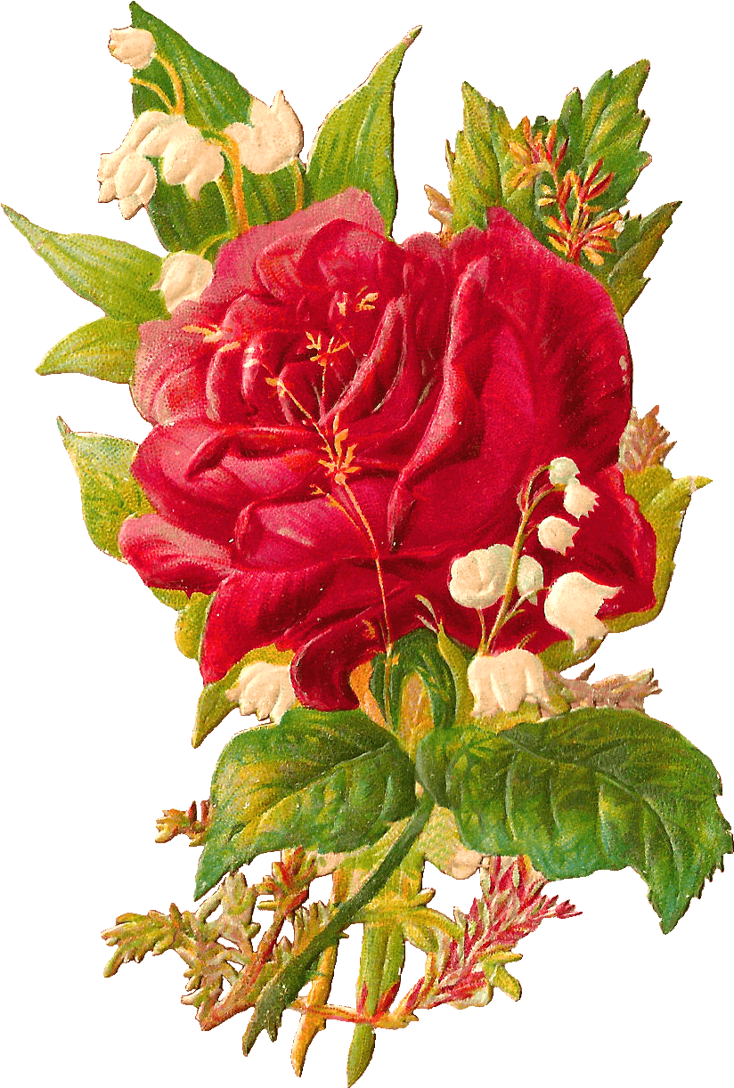 This Is A Very Pretty Victorian Scrap Of Large Red - Rose And Lily Of The Valley Tattoo - Free Transparent PNG Clipart Images Download. - Transparent PNG Free Download | PNGio