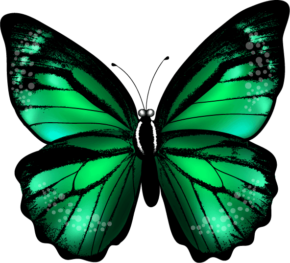 Faça A Minha Vida Ter Mais Cor E Borboletas Em Mim*✿ - Green Butterfly Tattoo Png - Free Transparent PNG Clipart Images Download. - Transparent PNG Free Download | PNGio