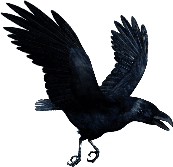 Ravens Flying Drawing - Death Grips Tattoo - Free Transparent PNG Clipart Images Download. - Transparent PNG Free Download | PNGio