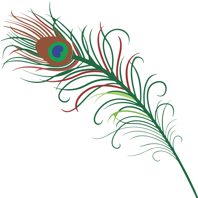 Domain Peacock Clip Art - Peacock Feather Tattoo - Free Transparent PNG Clipart Images Download. - Transparent PNG Free Download | PNGio