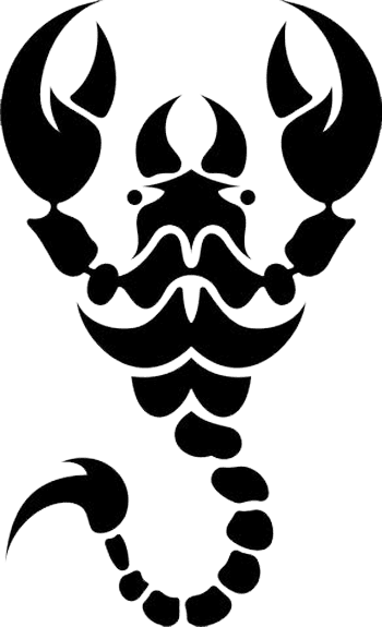 Tribal Drawings Of Scorpio - Scorpion Tattoos For Girls - Free Transparent PNG Clipart Images Download. - Transparent PNG Free Download | PNGio