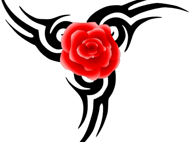 Rose Tattoo Clipart Bunga Ros - Tribal Tattoo - Free Transparent PNG Clipart Images Download. - Transparent PNG Free Download | PNGio