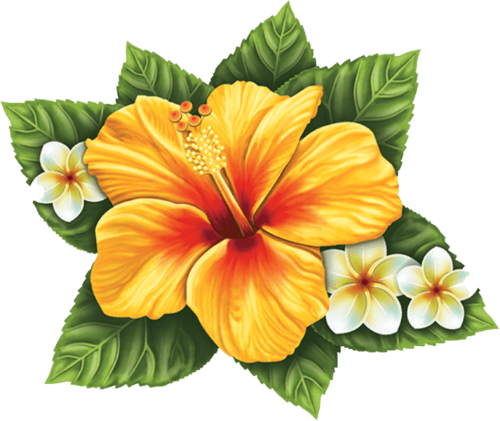 Porc Hf56 10"x9" Single Hibiscus Flower Yellow Porcelain - Yellow Hibiscus Tattoo - Free Transparent PNG Clipart Images Download. - Transparent PNG Free Download | PNGio