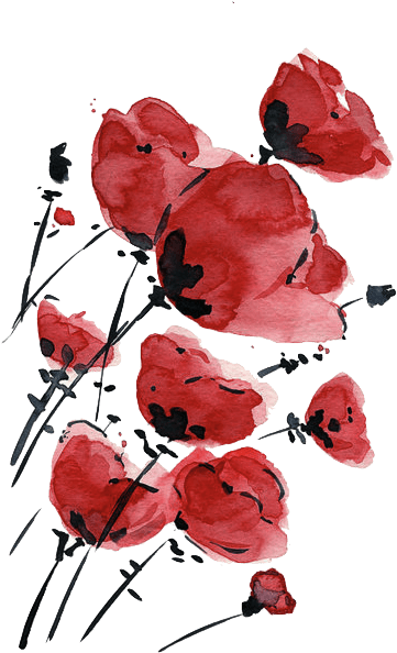 Valentine Sale Poppies Field On A Windy Day Original - Watercolor Poppy Tattoo Design - Free Transparent PNG Clipart Images Download. - Transparent PNG Free Download | PNGio