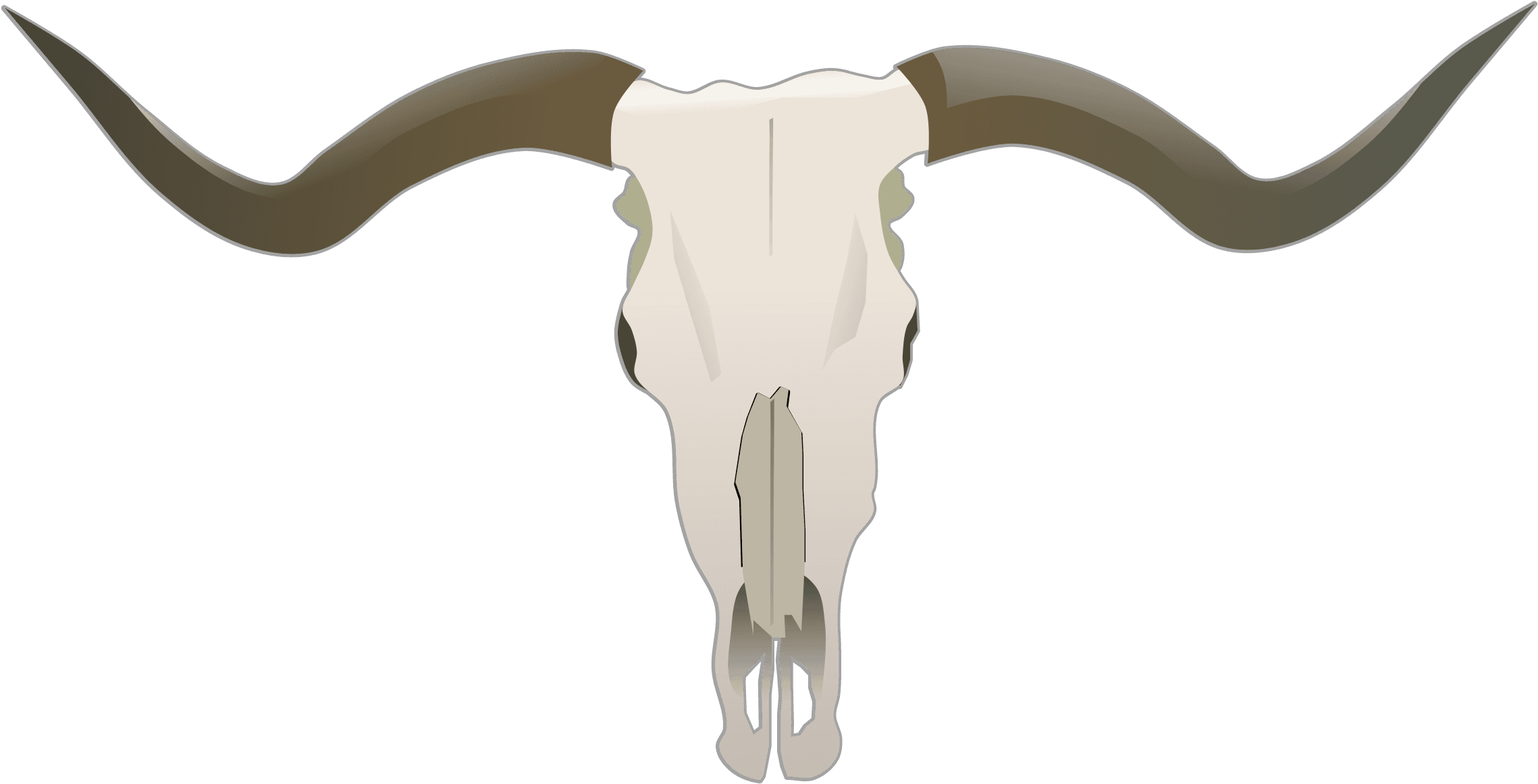 Clipart Longhorn Skull - Bulls Skull Tattoo Longhorn - Free Transparent PNG Clipart Images Download. - Transparent PNG Free Download | PNGio