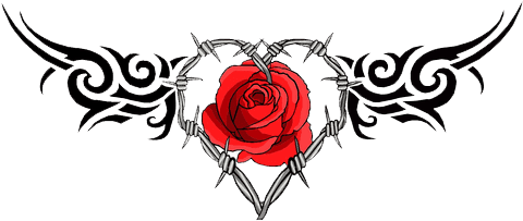 Rose - Barb Wire Heart Tattoo - Free Transparent PNG Clipart Images Download. - Transparent PNG Free Download | PNGio