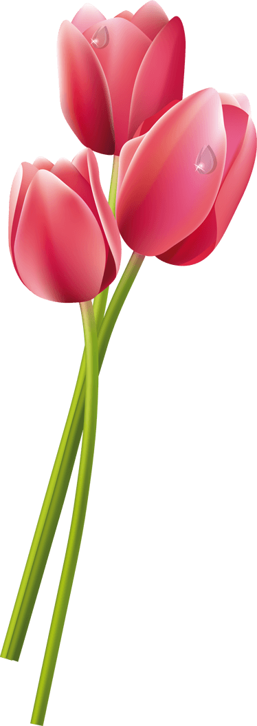 Wet Tulips Shower Sticker - Tulip And Fern Tattoos - Free Transparent PNG Clipart Images Download. - Transparent PNG Free Download | PNGio