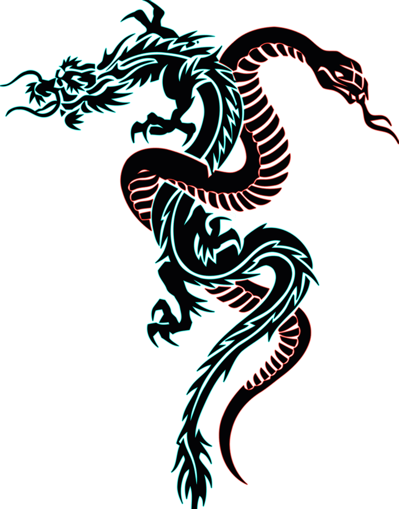 Dragon And Snake Tattoo By Djakal12 On Deviantart - Dragon And Snake Tattoo - Free Transparent PNG Clipart Images Download. - Transparent PNG Free Download | PNGio