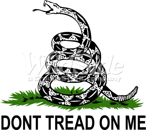 Don't Tread On Me Snake - Don T Tread On Me Tattoo Design - Free Transparent PNG Clipart Images Download. - Transparent PNG Free Download | PNGio