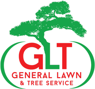 Independence, Lee's Summit And Blue Springs Tree Service - Bonsai Tree Tattoo Designs - Free Transparent PNG Clipart Images Download. - Transparent PNG Free Download | PNGio