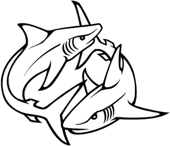 Tribal Shark Tattoos Designs 07 1 - Shark Tattoo Drawing - Free Transparent PNG Clipart Images Download. - Transparent PNG Free Download | PNGio
