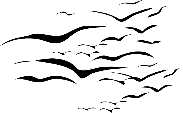 Flock Of Birds Clipart - Flock Of Birds Tattoo - Free Transparent PNG Clipart Images Download. - Transparent PNG Free Download | PNGio