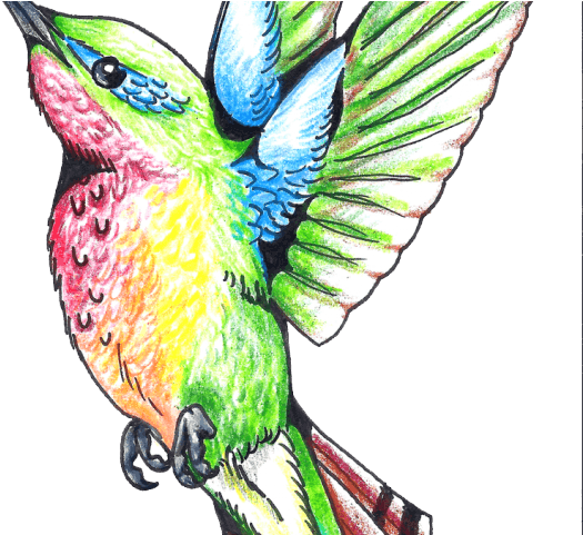 Gothic Tattoos Clipart Hummingbird - Art Design Tattoo Color - Free Transparent PNG Clipart Images Download. - Transparent PNG Free Download | PNGio