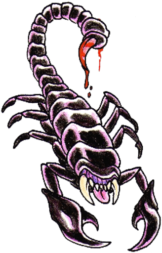 Scorpion Tattoos Png Clipart - Scorpion Tattoo Designs - Free Transparent PNG Clipart Images Download. - Transparent PNG Free Download | PNGio