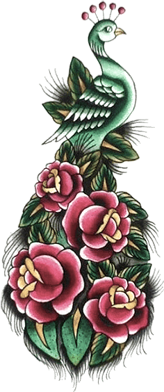 -anonymous, Peacock And Roses - Old School Peacock Tattoos - Free Transparent PNG Clipart Images Download. - Transparent PNG Free Download | PNGio