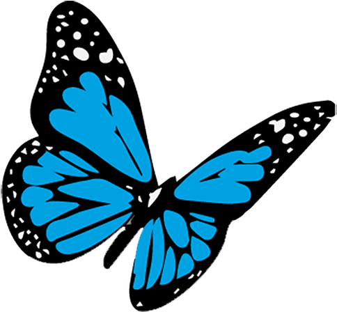 Cropped Butterfly Blue - 3d Butterfly Tattoo Drawing - Free Transparent PNG Clipart Images Download. - Transparent PNG Free Download | PNGio