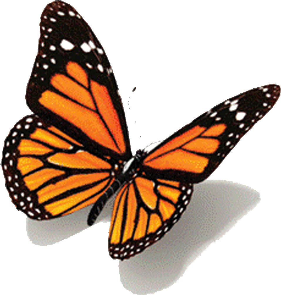 Animated Butterfly Gifs - Butterfly Tattoo Design - Free Transparent PNG Clipart Images Download. - Transparent PNG Free Download | PNGio