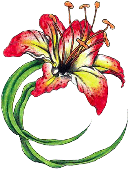 Tropical Flower Tattoos - Flower Tattoo Png Transparent - Free Transparent PNG Clipart Images Download. - Transparent PNG Free Download | PNGio