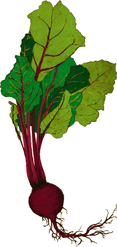 Graphic Royalty Free Ellie T Studio Illustration - Tattoo - Free Transparent PNG Clipart Images Download. - Transparent PNG Free Download | PNGio