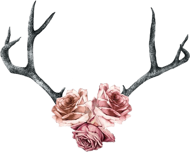 Rose Roses Antler Boho Pink Flowers - Deer Antler Tattoo With Flowers - Free Transparent PNG Clipart Images Download. - Transparent PNG Free Download | PNGio