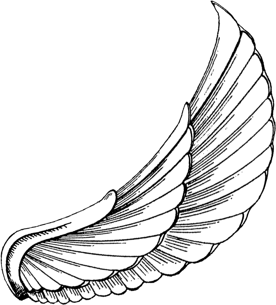 Vector Royalty Free Download To Download Click On - Egyptian Wings Tattoo Designs - Free Transparent PNG Clipart Images Download. - Transparent PNG Free Download | PNGio
