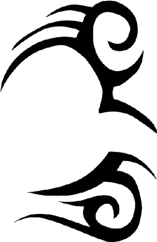 Abziehtattoo Artist The Hangover - Transparent Face Tattoos Png - Free Transparent PNG Clipart Images Download. - Transparent PNG Free Download | PNGio