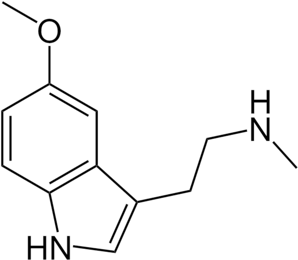 5 - Lsd Chemical Formula Tattoo - Free Transparent PNG Clipart Images Download. - Transparent PNG Free Download | PNGio