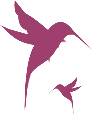 Pixabay/cco Public Domain/permission To Use - Baby Hummingbird Tattoo - Free Transparent PNG Clipart Images Download. - Transparent PNG Free Download | PNGio