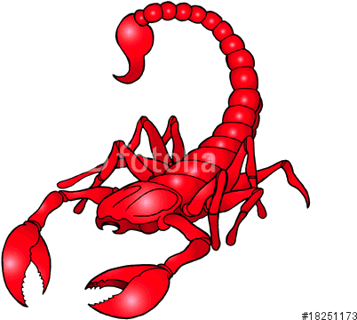 Red Scorpion Tattoo - Free Transparent PNG Clipart Images Download. - Transparent PNG Free Download | PNGio