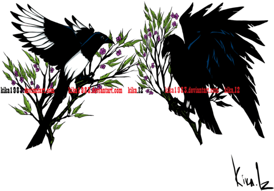 And Magpie Tattoo Commission By Kika On - Raven And Magpie Tattoo - Free Transparent PNG Clipart Images Download. - Transparent PNG Free Download | PNGio