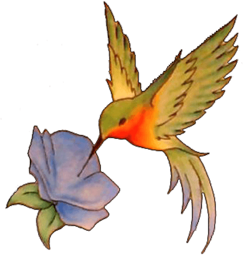 Hummingbird Tattoos Designs Body Art Pictures Images - Hummingbird Tattoo Designs - Free Transparent PNG Clipart Images Download. - Transparent PNG Free Download | PNGio