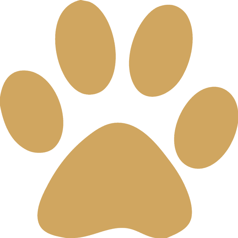 Cougar Paw Print Clip Art - Purple Paw Print Transparent Background - Free Transparent PNG Clipart Images Download. - Transparent PNG Free Download | PNGio