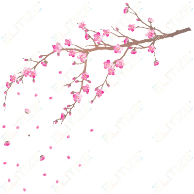 Adesivos Adesivo Decorativo Galho De Cerejeira Png - Flores De Cerejeira Png - Free Transparent PNG Clipart Images Download. - Transparent PNG Free Download | PNGio