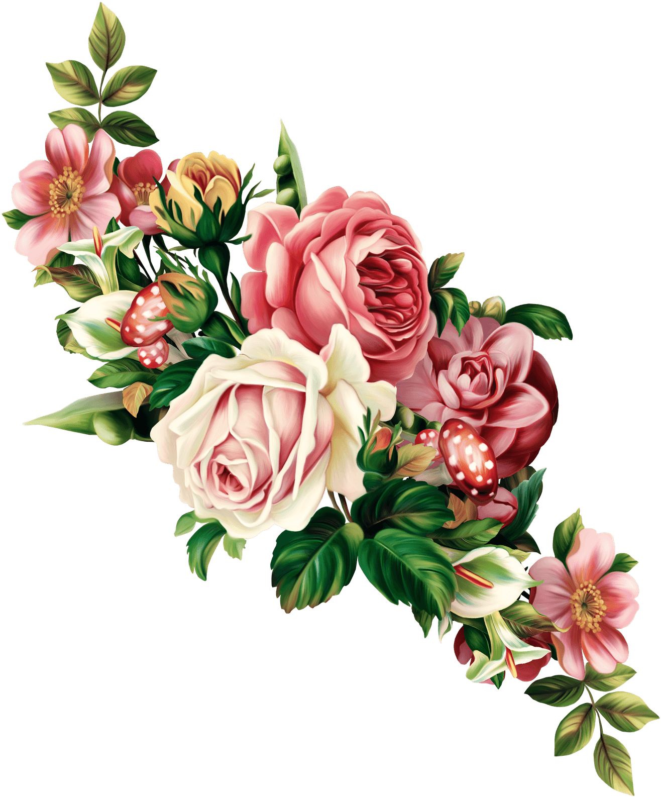 Rosen Bilder, Blumen Bilder, Blumen Zeichnung, Poesiealbum, - Flowers Png - Free Transparent PNG Clipart Images Download. - Transparent PNG Free Download | PNGio